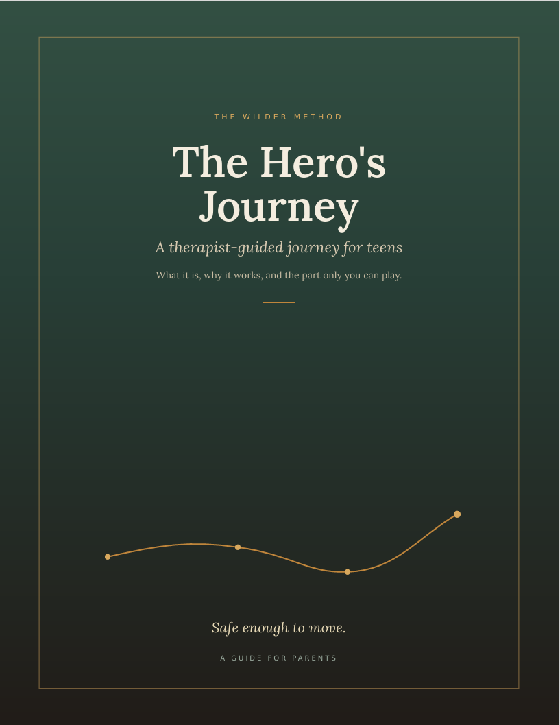The Hero's Journey cover